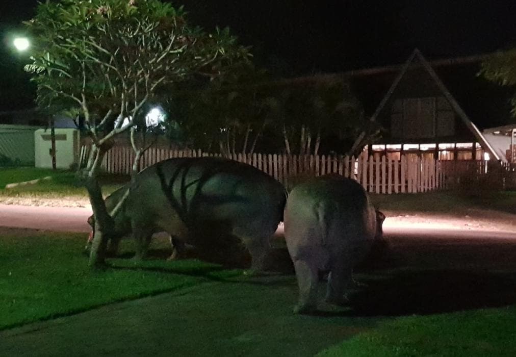 Ndiza Lodge and Cabanas