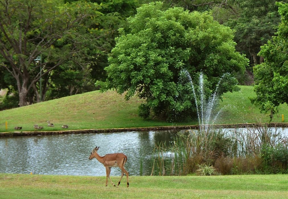 Kruger Park Lodge Unit No. 252