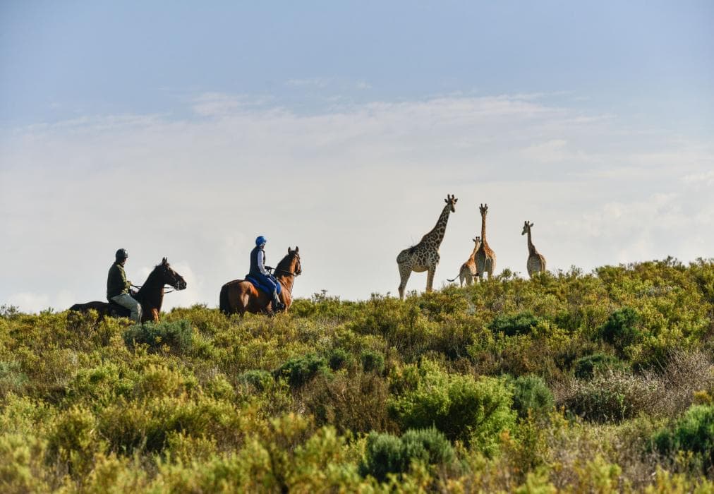 Melozhori Private Game Reserve Cottage