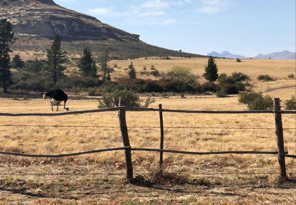 Cute and Quirky Clarens