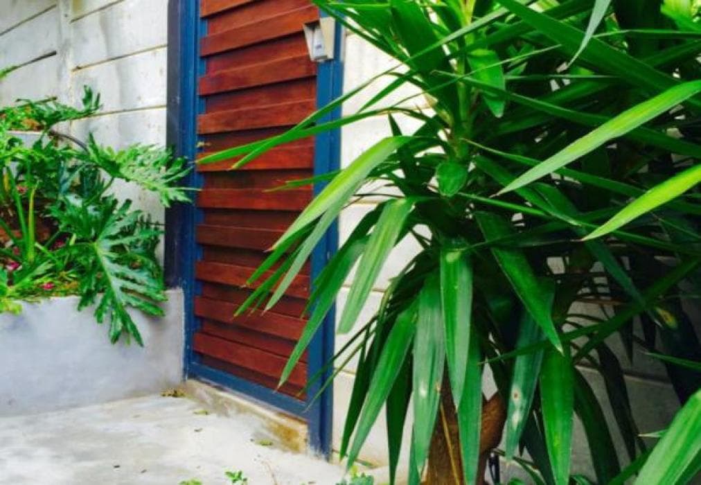 Sun & Sea Apartment