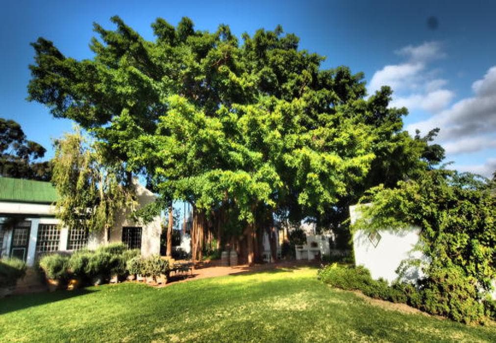 Tanagra Wine & Guest Farm