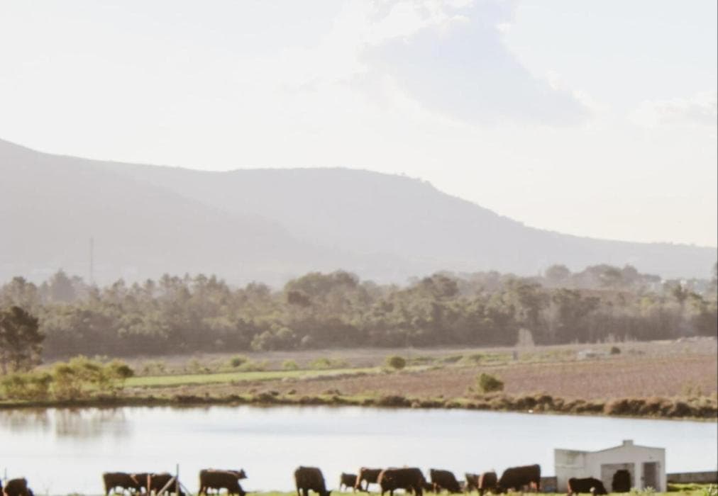 Wagyu Mountain Lodge