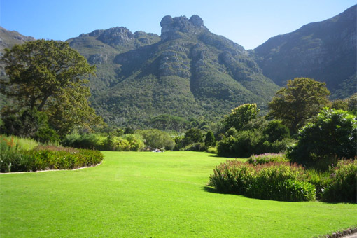 Kirstenbosch National Botanical Gardens