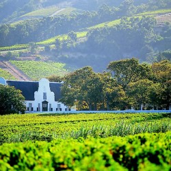 Cape Winelands Accommodation