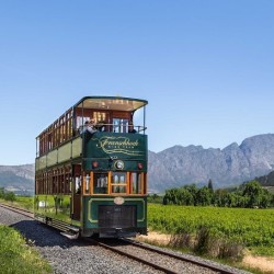 wine tram